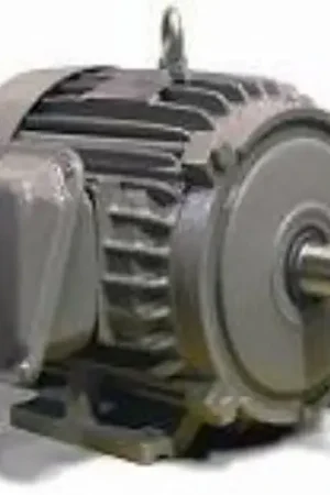 TECO NP0604 Electric Motor 60 Horsepower 364T Budget