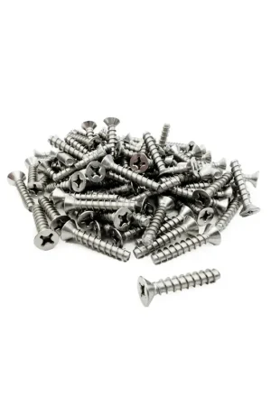 B&B 1320HRPF188 Long Skimmer Screw Stainless Steel Pack of 100 Premium