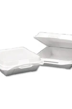 Affordable LID CORPORATION 20010 Genpak Foam Hinged Carryout Container